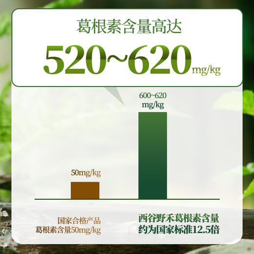 【云南农科院技术支持】西谷野禾 有机葛根粉 血管清道夫 双有机认证 250g/罐 商品图4