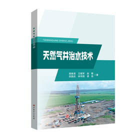 【官方旗舰店】天然气井治水技术 本书是读者在应对气井产水难题时的一位“无声的专家” 
