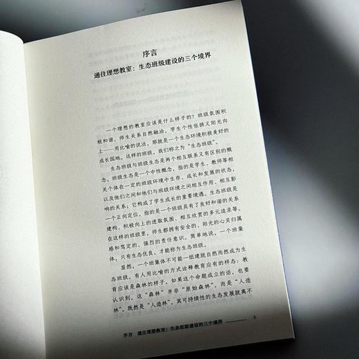 通往理想教室 生态班级建设密码 大夏书系 教育艺术 李竹平 商品图6