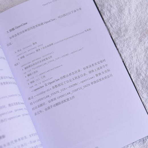 OpenClaw快速上手极简部署与实战 OpenClaw*基础入门到精通SKill智能体Agent 商品图4
