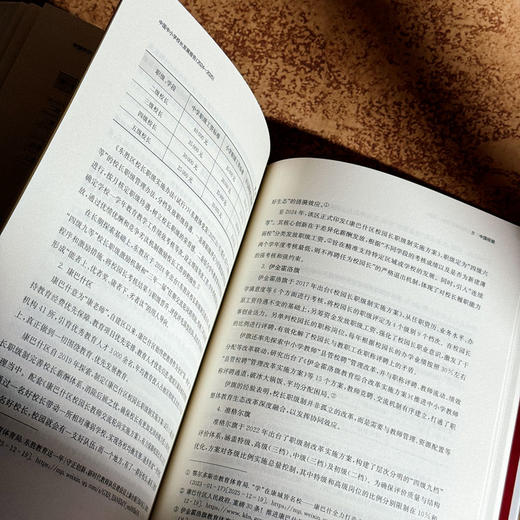 中国中小学校长发展报告（2024—2025）书记校长职级制 我国中小学校领导人员职级制度发展 商品图13