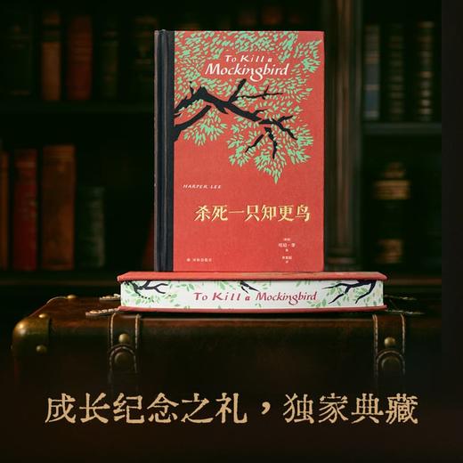 【13岁+】【刷边版】杀死一只知更鸟 商品图5