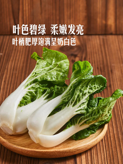 MM 山姆 Member's Mark 有机奶白菜苗 600g 商品图4