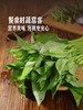 MM 山姆 有机空心菜 600g 商品缩略图5