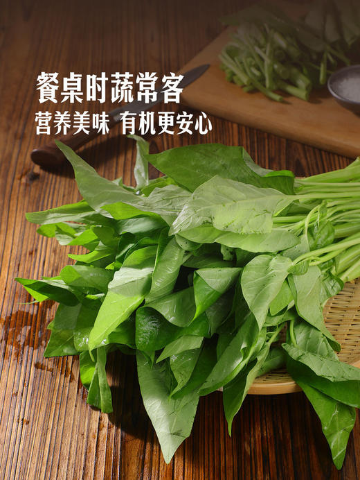 MM 山姆 有机空心菜 600g 商品图5