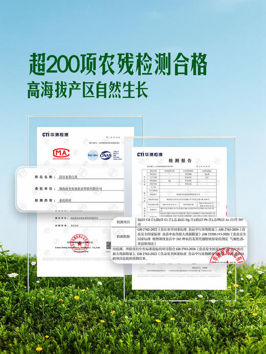 MM 山姆 高原龙芽白菜 1kg 商品图3