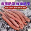 【顺丰直发 新鲜三去海肠】精挑大条海肠 肉质脆嫩弹牙 清洗干净去内脏 解冻即烹省时省力 商品缩略图0