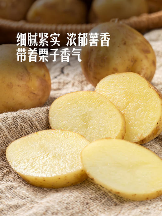 MM 山姆 香糯小土豆 1.5kg 商品图5