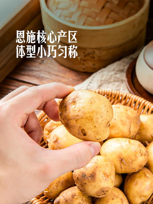 MM 山姆 香糯小土豆 1.5kg 商品图4