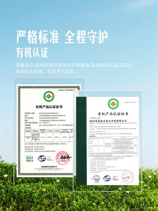 MM 山姆 有机娃娃菜 850g 商品图3