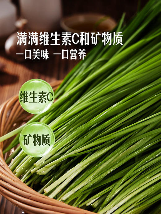 MM 山姆 有机韭菜 600g 商品图5