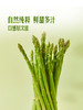 MM 山姆 青芦笋（中大笋）600g 商品缩略图6