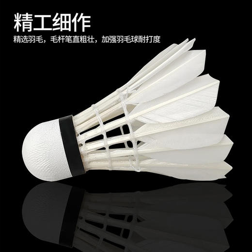 MM 山姆 亚狮龙 鹅毛羽毛球A9D（12只球） 商品图4