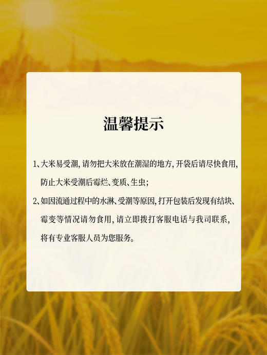 MM 山姆 清莱府泰国茉莉香米 2.5kg*2/4 商品图5