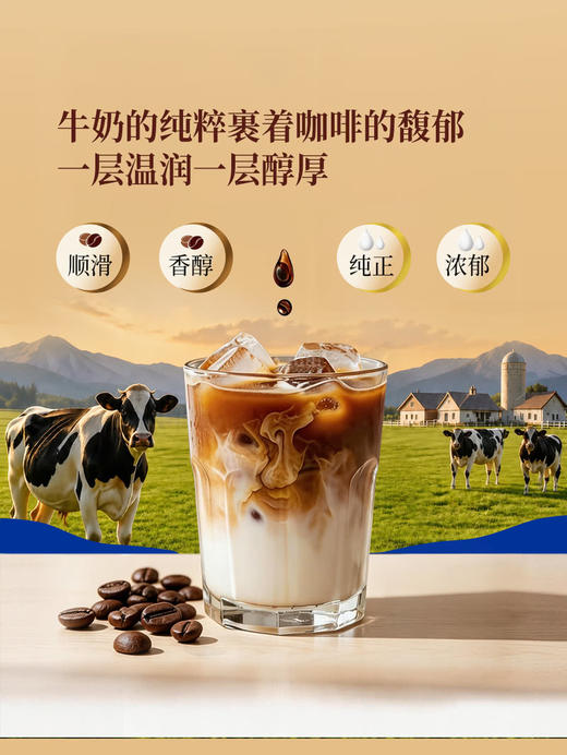 MM 山姆 MILK TALK 咖啡牛奶 290ml*4/8 商品图6