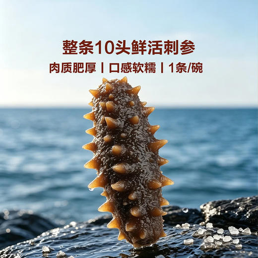 MM 山姆 鲍之源 高汤刺参粥 252g*3 商品图2