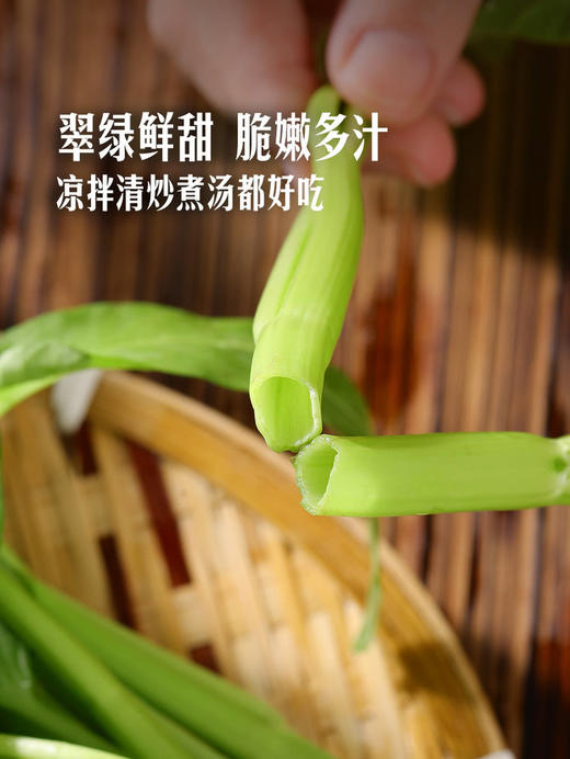 MM 山姆 有机空心菜 600g 商品图4