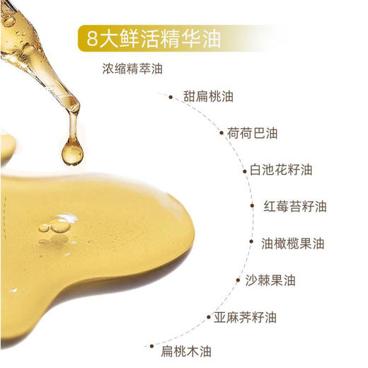 【5大精华】佰草童话 紧致抗皱焕活精华油(海**谜1:1同款） 30ml/瓶 轻盈裸感体验 商品图3