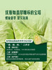 MM 山姆 翡翠沙拉甘蓝 1kg 商品缩略图5