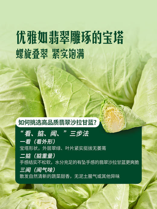 MM 山姆 翡翠沙拉甘蓝 1kg 商品图5