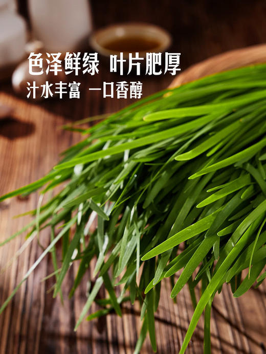 MM 山姆 有机韭菜 600g 商品图4