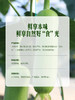 MM 山姆 白关丝瓜 800g 商品缩略图3