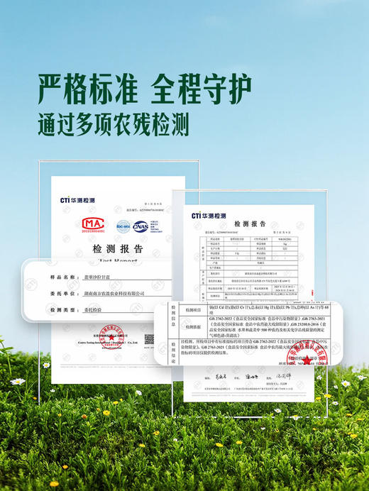 MM 山姆 翡翠沙拉甘蓝 1kg 商品图3