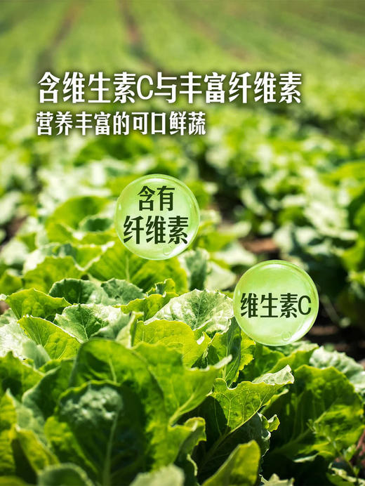 MM 山姆 Member's Mark 有机奶白菜苗 600g 商品图5