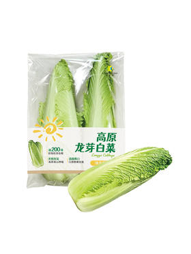 MM 山姆 高原龙芽白菜 1kg