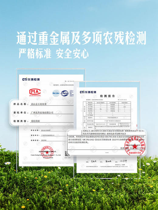 MM 山姆 高山金玉娃娃菜 850g 商品图3