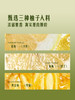 MM 山姆 Member's Mark 柚子抹茶千层 1kg 商品缩略图2
