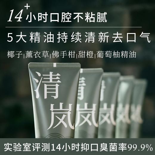 S光阴小驻植萃清新健齿牙膏  清新口气 抗牙菌斑 纯素无氟无SLS 无薄荷脑 精油+羟基磷灰石+益生菌+本草精华+溶菌酶 商品图1