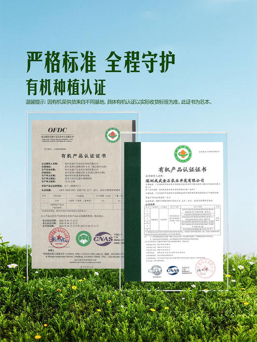 MM 山姆 有机空心菜 600g 商品图3