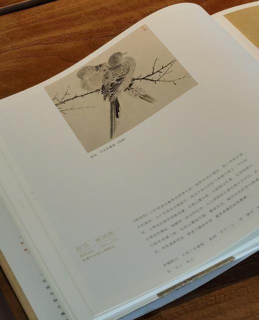 醉美册页：《宋画 花鸟篇》《宋画.山水篇》，8开，精装，，四川美术出版社2018年左右版，分别定价：188、188 商品图7
