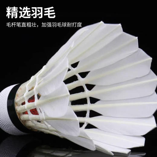 MM 山姆 亚狮龙 鹅毛羽毛球A5D（12只球） 商品图2