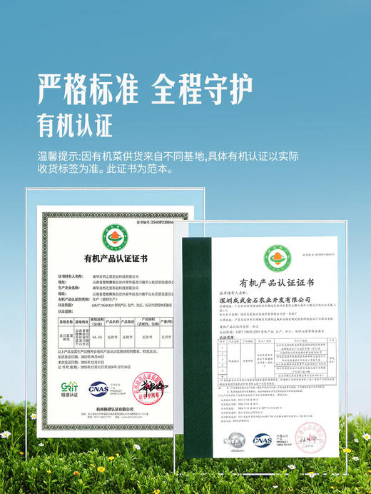 MM 山姆 Member's Mark 有机奶白菜苗 600g 商品图3