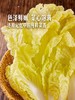 MM 山姆 有机娃娃菜 850g 商品缩略图4