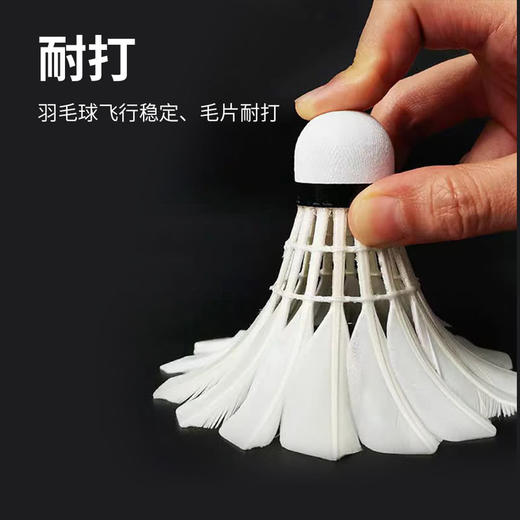 MM 山姆 亚狮龙 鹅毛羽毛球A5D（12只球） 商品图1