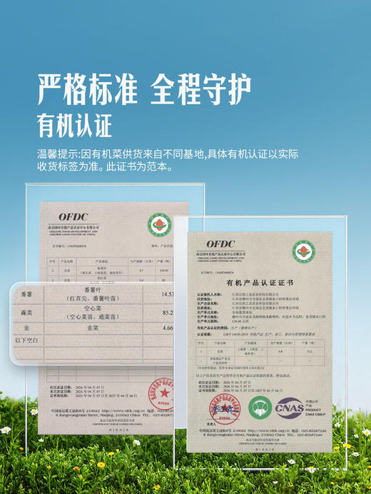 MM 山姆 有机韭菜 600g 商品图3