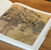 醉美册页：《宋画 花鸟篇》《宋画.山水篇》，8开，精装，，四川美术出版社2018年左右版，分别定价：188、188 商品缩略图13