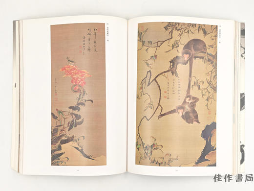 【绝版旧书】 若冲 没後200年 商品图2