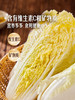 MM 山姆 有机娃娃菜 850g 商品缩略图5