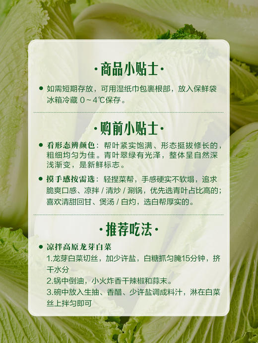 MM 山姆 高原龙芽白菜 1kg 商品图7
