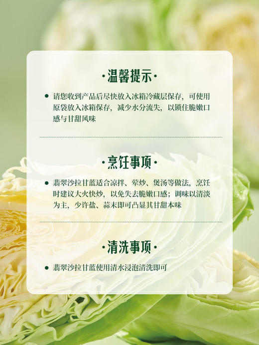 MM 山姆 翡翠沙拉甘蓝 1kg 商品图7