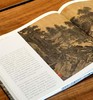 醉美册页：《宋画 花鸟篇》《宋画.山水篇》，8开，精装，，四川美术出版社2018年左右版，分别定价：188、188 商品缩略图12