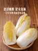 MM 山姆 高山金玉娃娃菜 850g 商品缩略图4