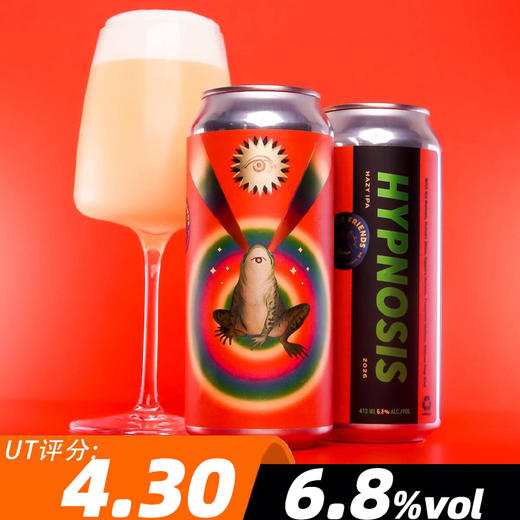 友人皆至 幻境 473ml 商品图0