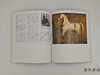 【绝版旧书】 ルーヴル美術館展　19世紀フランス絵画　新古典主義からロマン主義 / Louvre / 卢浮宫博物馆展：19世纪法国绘画——从新古典主义到浪漫主义 商品缩略图1
