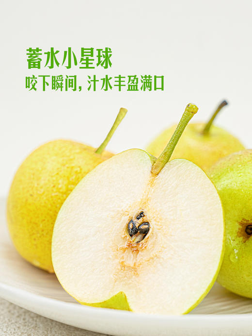 MM 山姆 太阳雪梨 1.5kg 商品图6