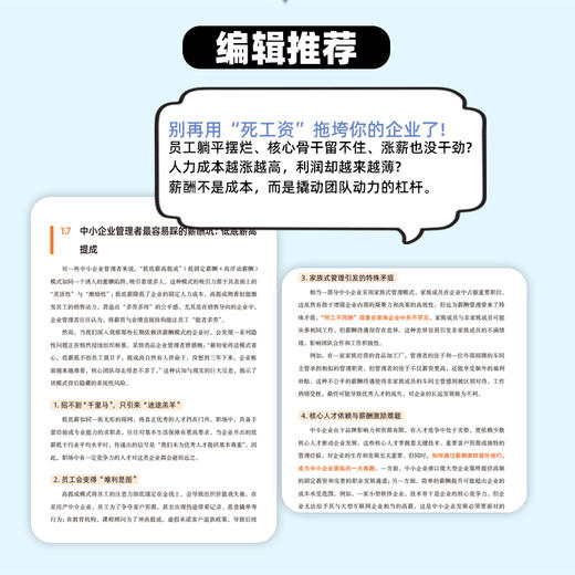 中小企业薪酬激励实战手册：从设计到落地全过程指南 商品图3